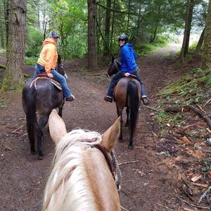 Meet your Posher, Kayce